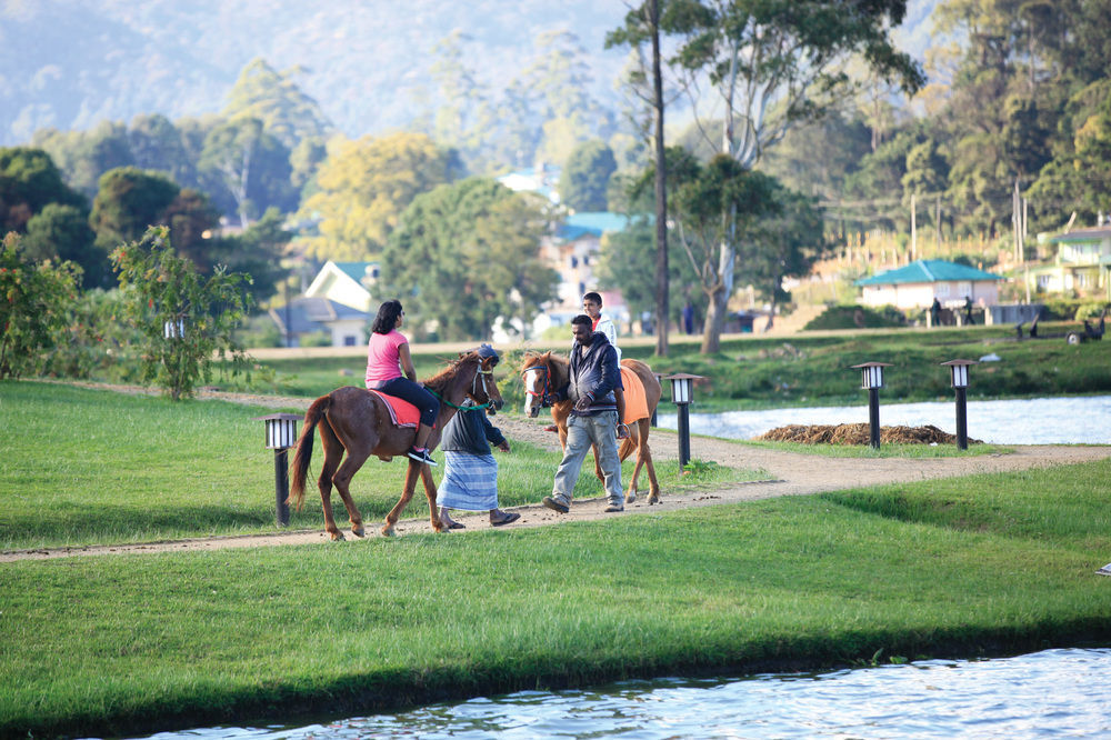 Queenswood Cottage Nuwara Eliya Bagian luar foto